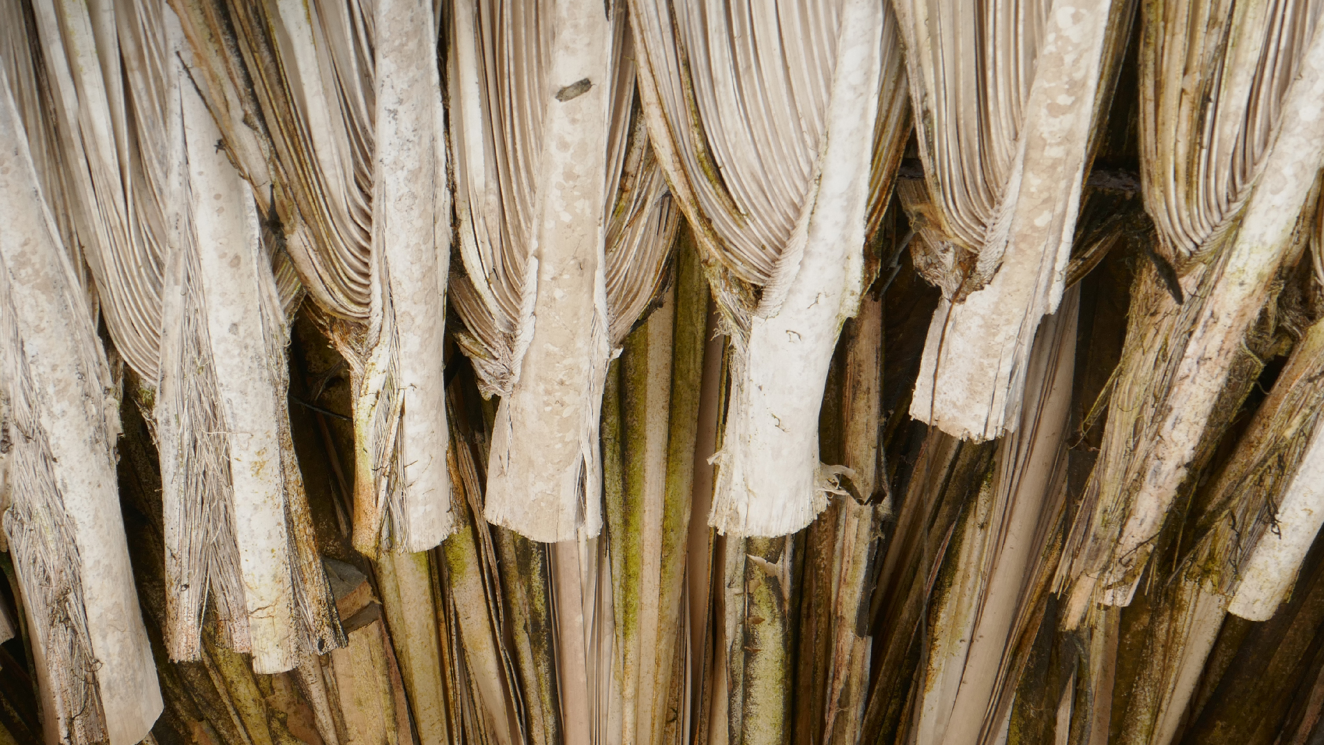 2022-10-29 13 Uhr 27 Playa Kalki (Foto, Video)